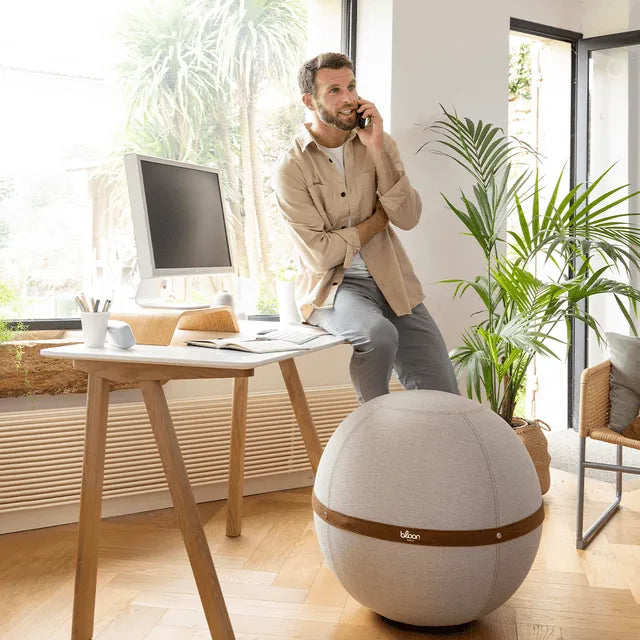 Ball Chair: Real User Reviews and Feedback
