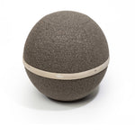 Pebble